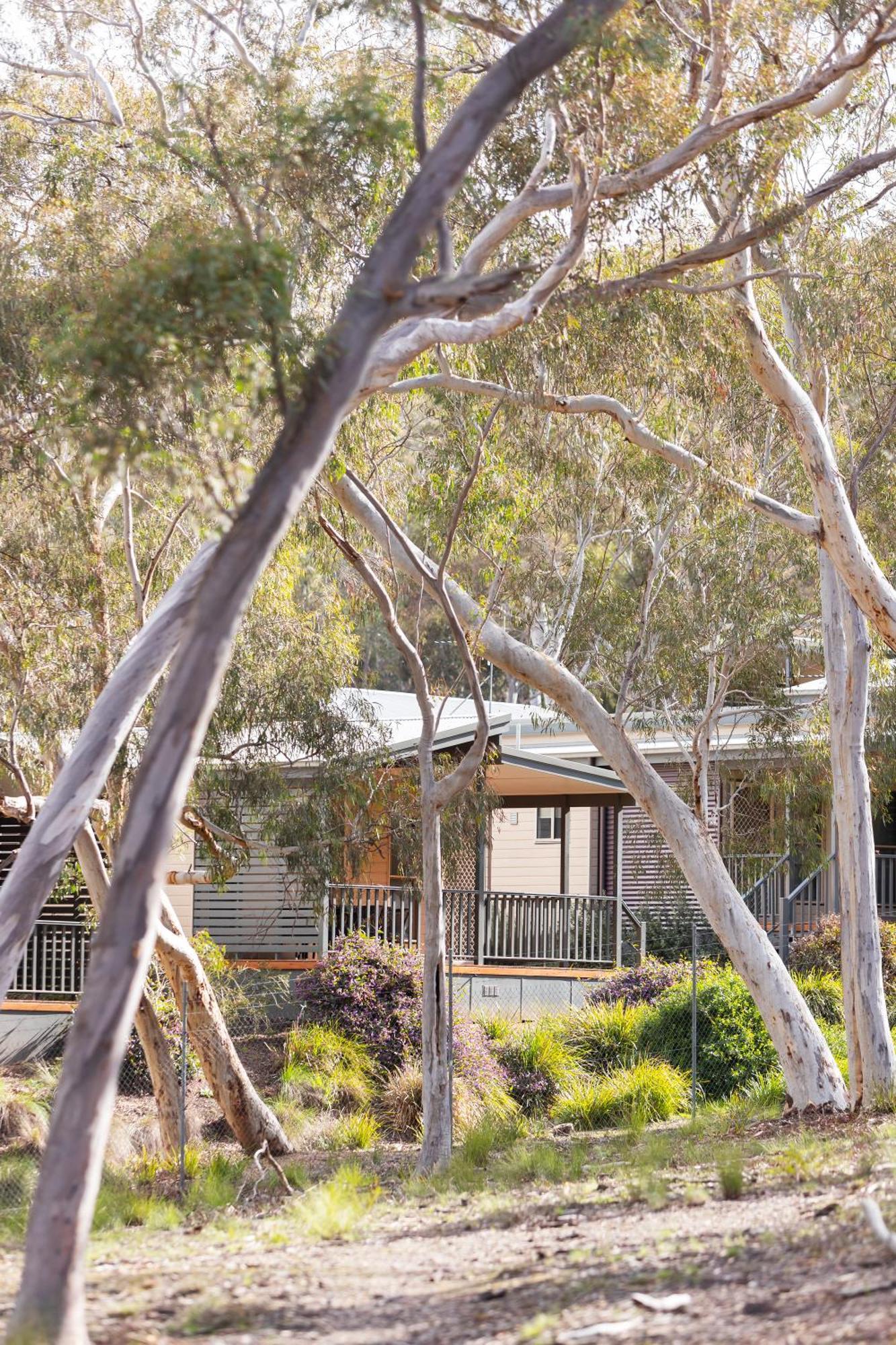 Alivio Tourist Park Canberra Exterior foto